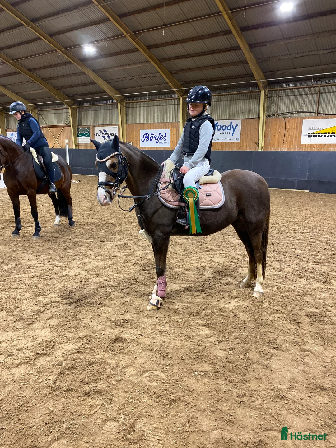 Hoppning hästar till salu: B-ponny med potential! i Sölvesborg - Annons 1