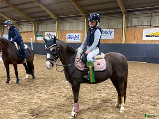 hästar B-ponny med potential! i Sölvesborg - Annons 15