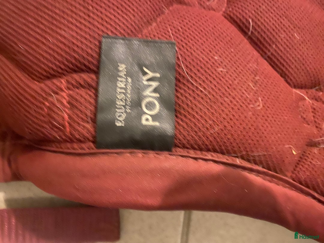 Schabrak & Vojlockar hästutrustning till salu: Vinrött jättefint es schabrak strl ponny! i Järna - Annons 4