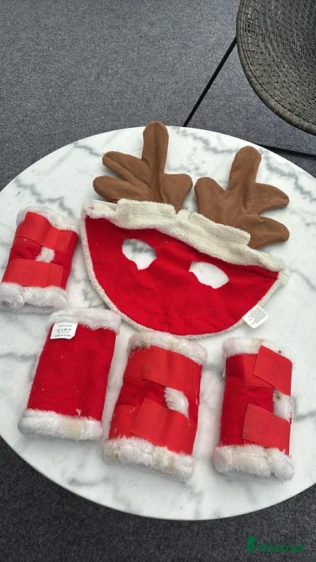 Benskydd hästutrustning Julkostym till ponny🎄🐴 - Annons 1