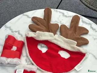 Benskydd hästutrustning Julkostym till ponny🎄🐴 - Annons 8