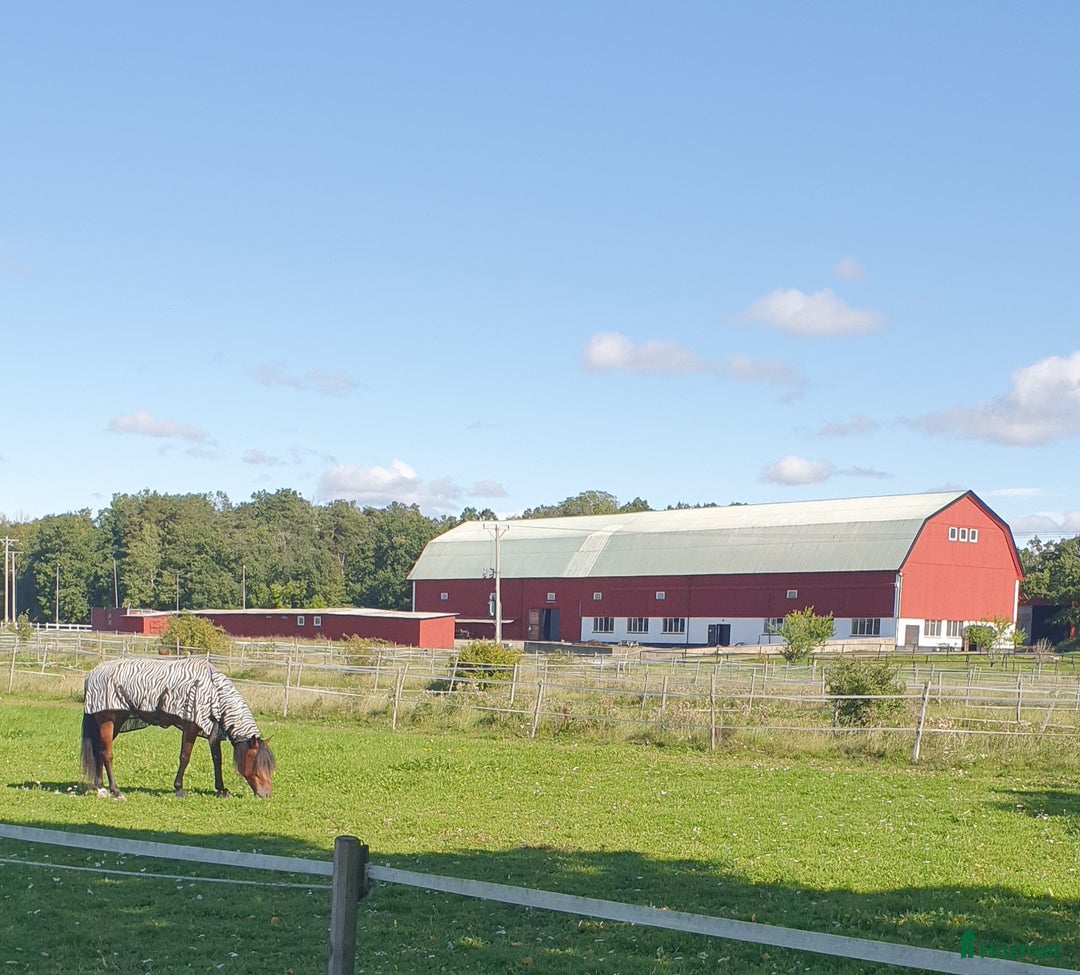  lägenhet till salu: Uthyres på Hästgård i Sorunda - Annons 3
