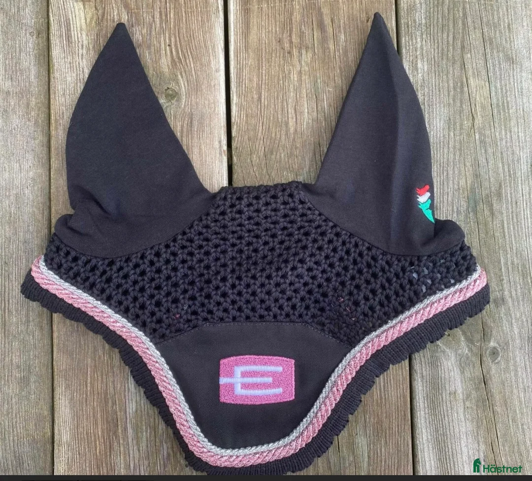 Övrig Hästutrustning hästutrustning till salu: SÖKER🎀 i Tormestorp - Annons 1