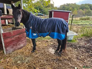 Täcken hästutrustning ¨Nova regntäcke - Annons 3