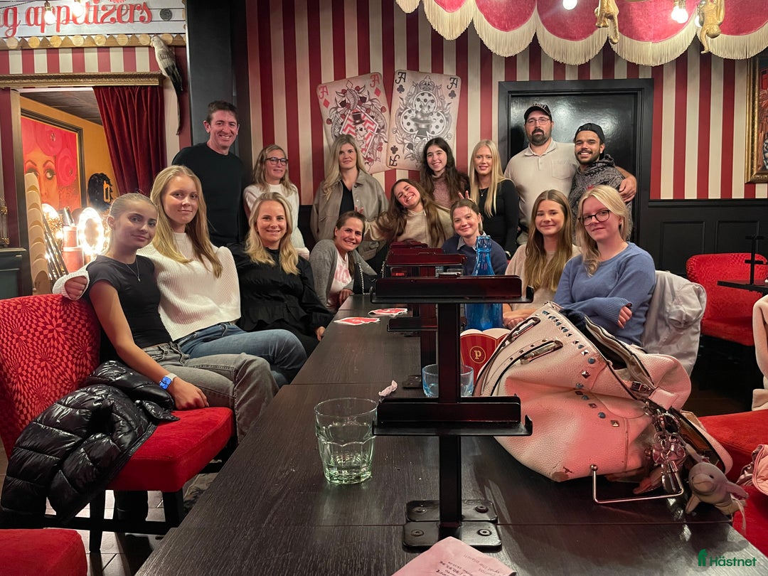  hästjobb finnes: Lundbäck & Cristofoletti letar duktighästskötare ! i Norrköping - Annons 8