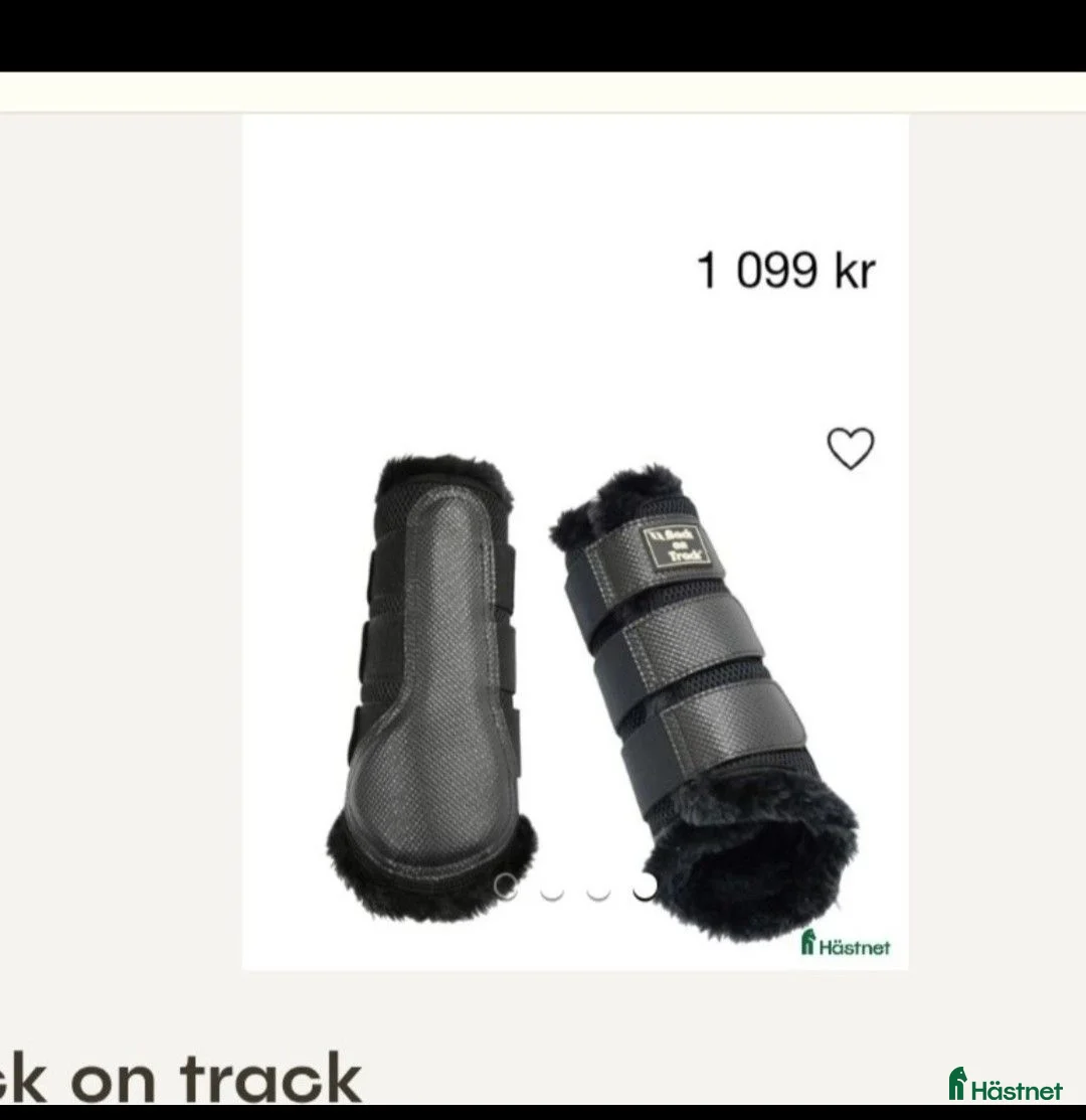 Benskydd hästutrustning till salu: Back on track Storl:L - Annons 3