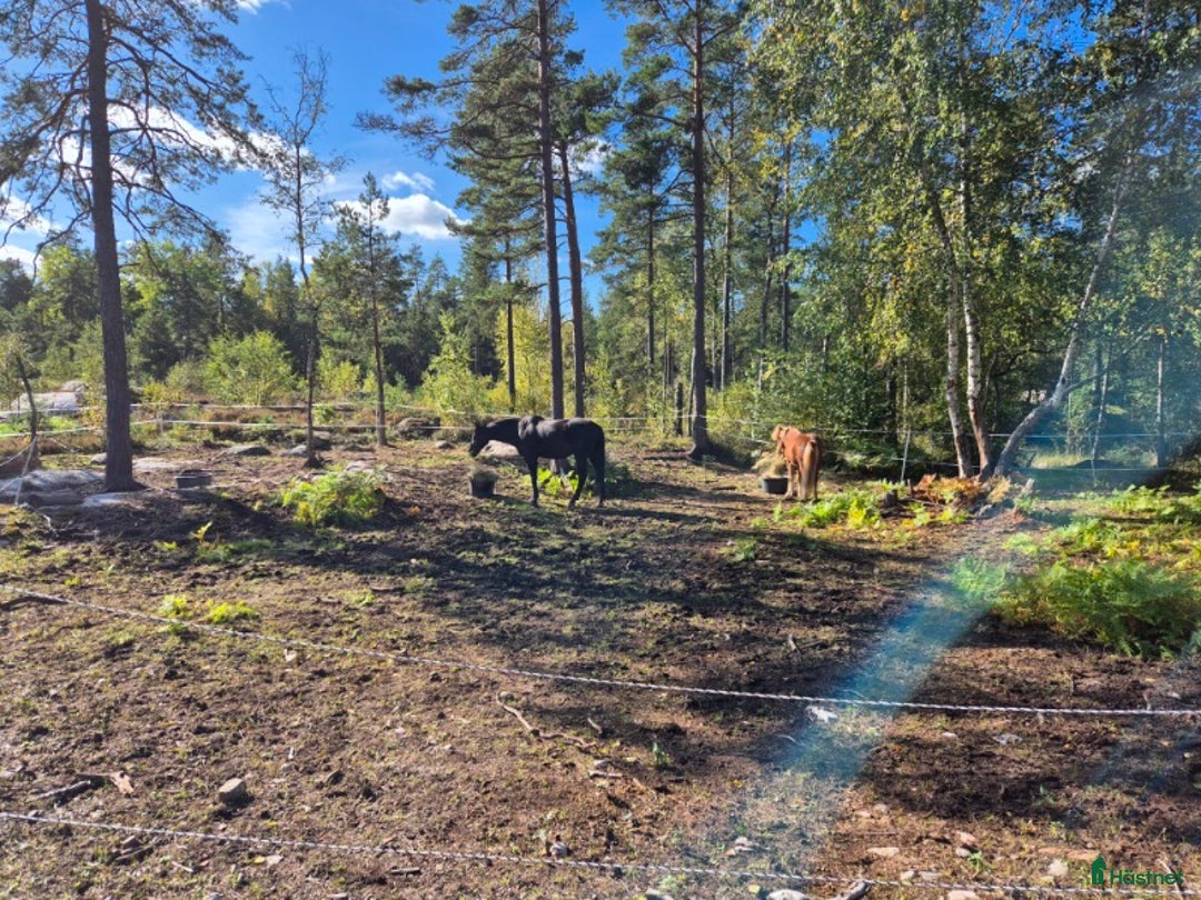  stallplats finnes: Stallplats i Åkersberga i Åkersberga - Annons 6