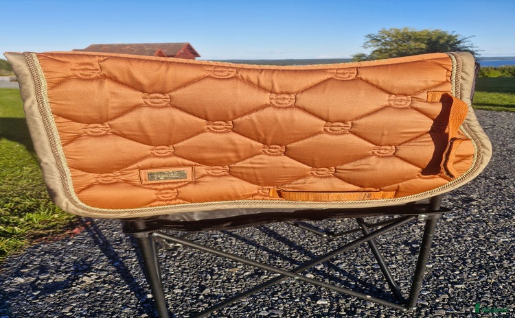 Schabrak & Vojlockar hästutrustning till salu i Tandsbyn - Annons 7