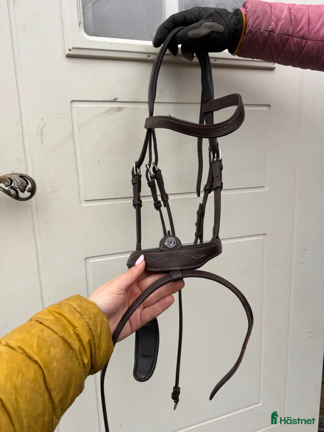Träns hästutrustning till salu: Fint antares träns med dyon pannband  - Annons 1