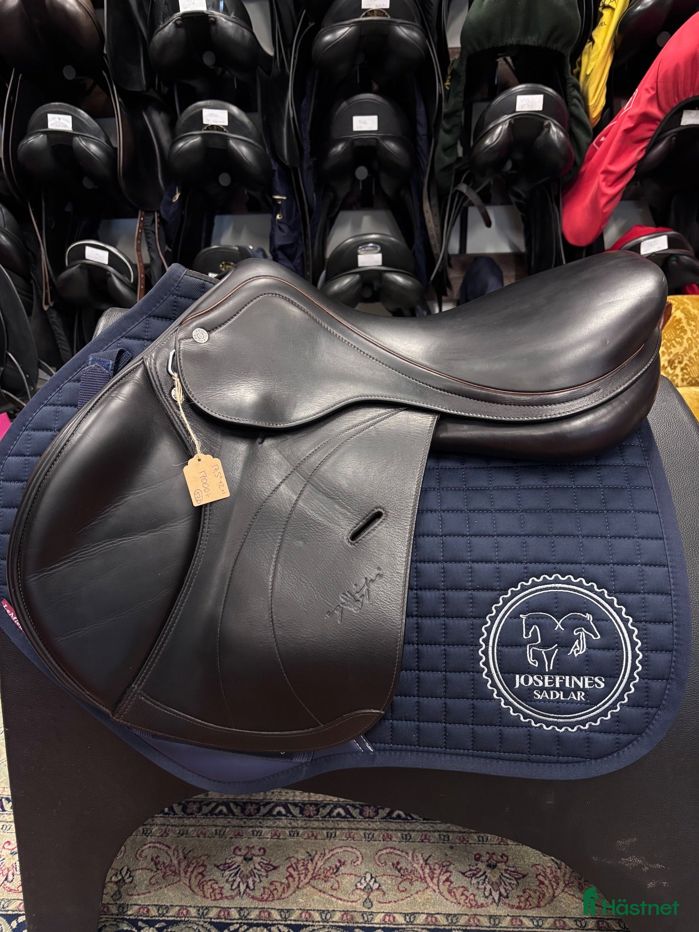 Sadlar hästutrustning till salu: Equipe Expression Special (572) - Annons 4