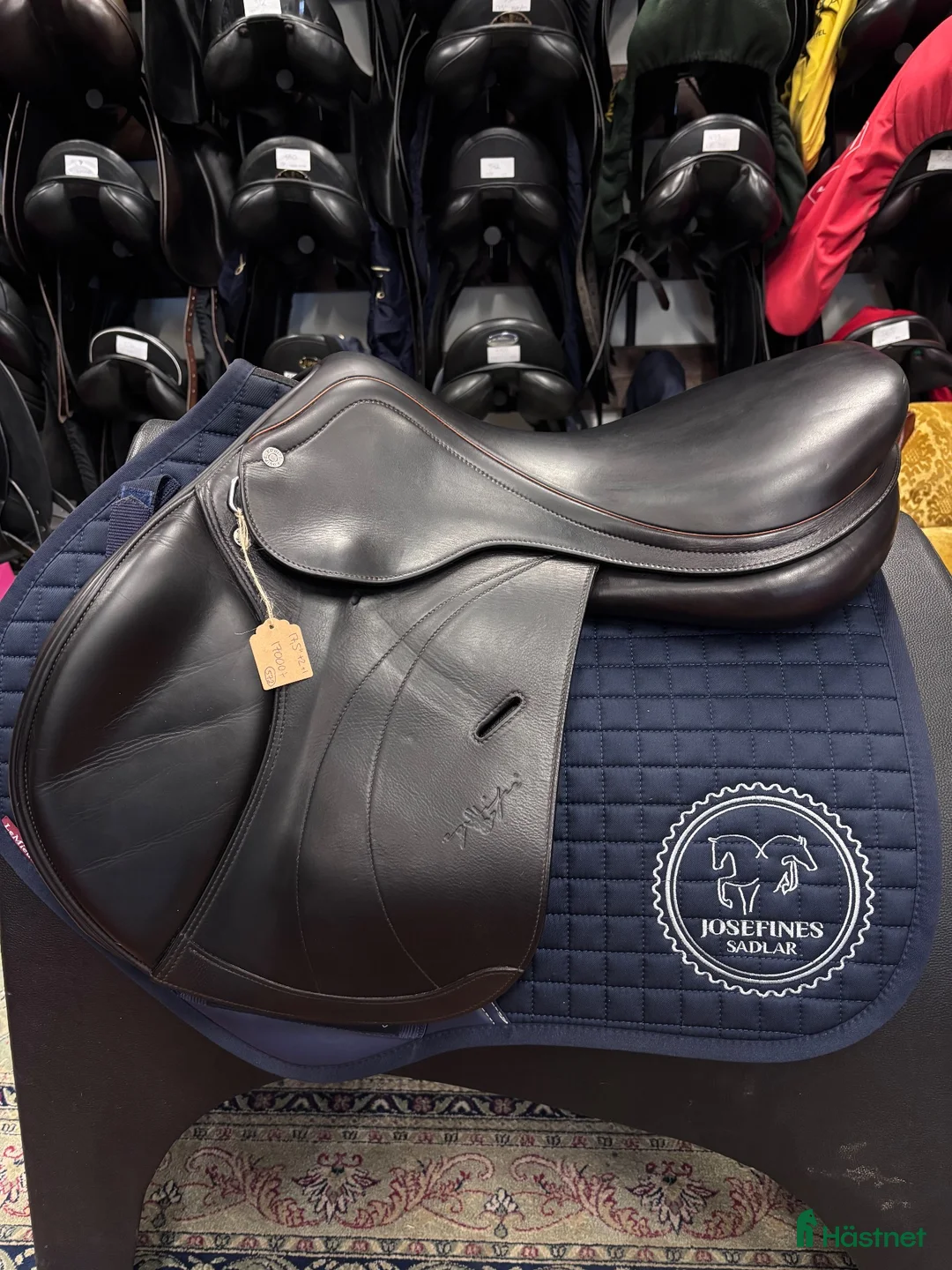 Sadlar hästutrustning till salu: Equipe Expression Special (572) - Annons 1
