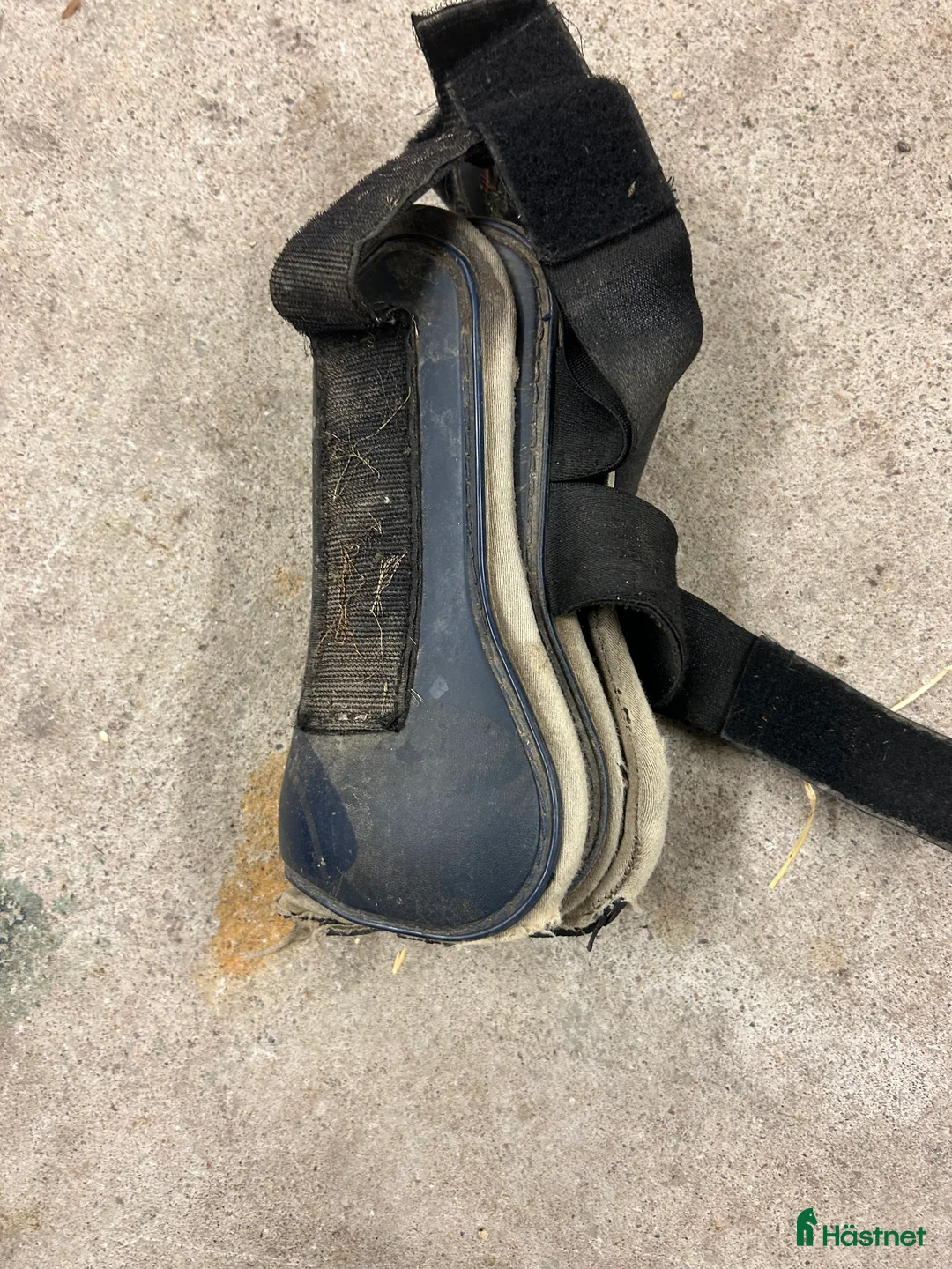 Övrig Hästutrustning hästutrustning till salu: Blandad utrustning? i Gävle - Annons 22