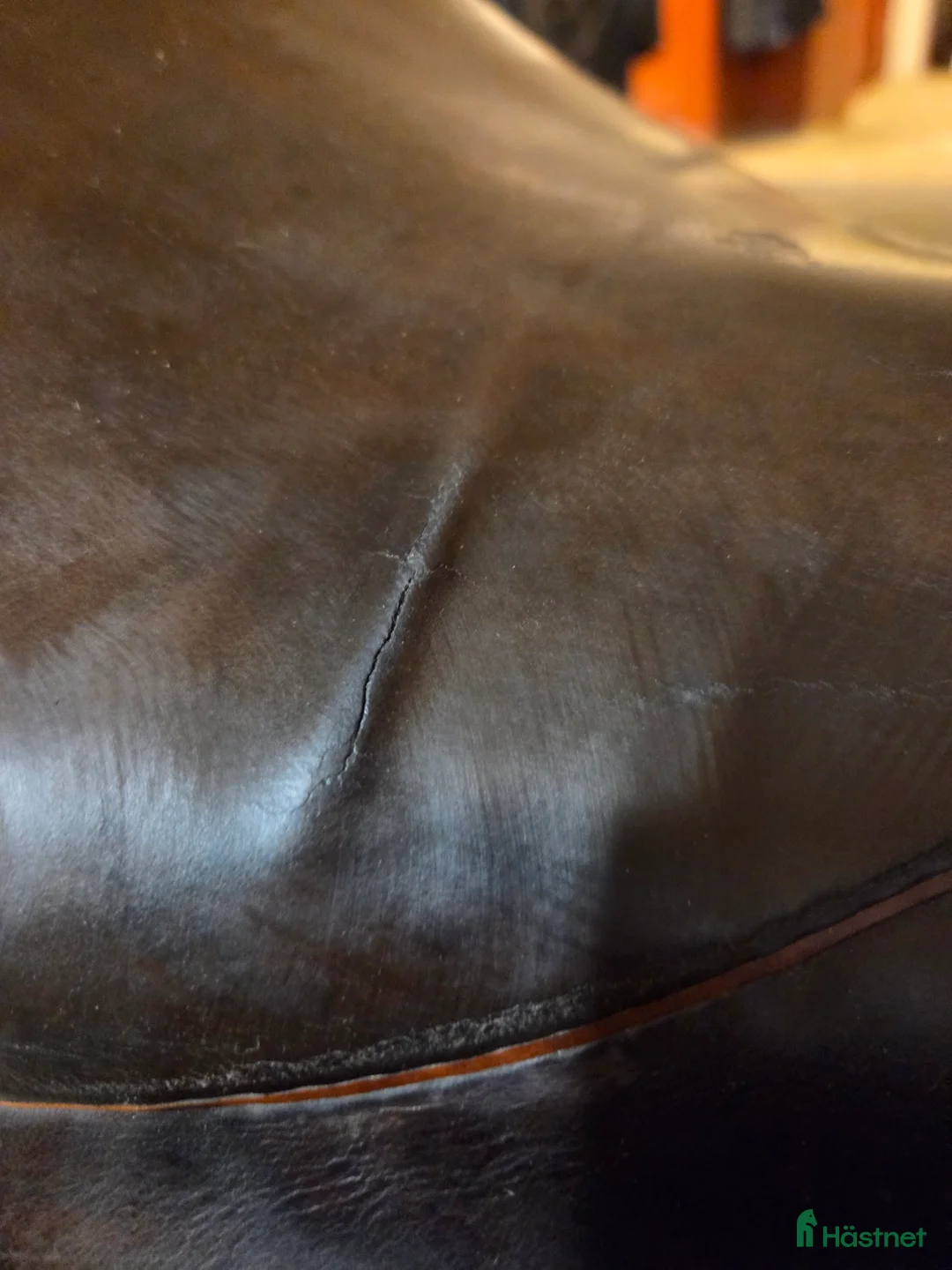 Sadlar hästutrustning till salu: Dressyr sadel i Nordmaling - Annons 4