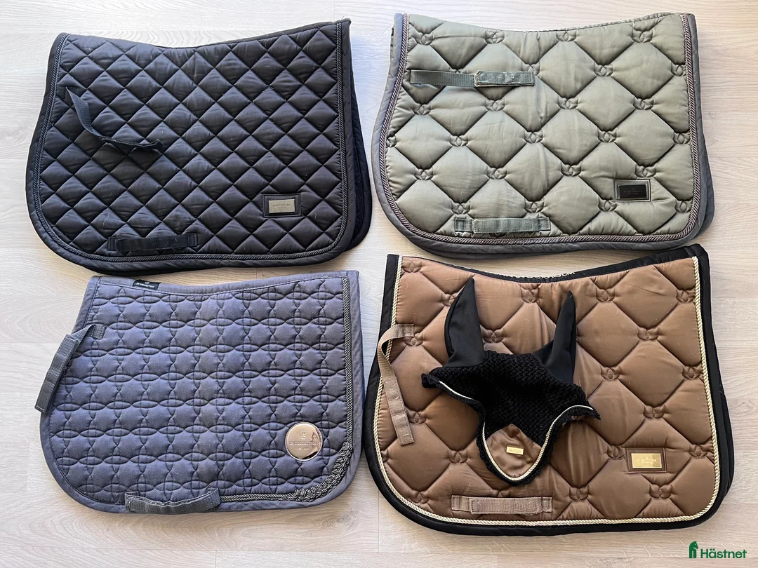 Schabrak & Vojlockar hästutrustning till salu: Schabrak - Annons 1