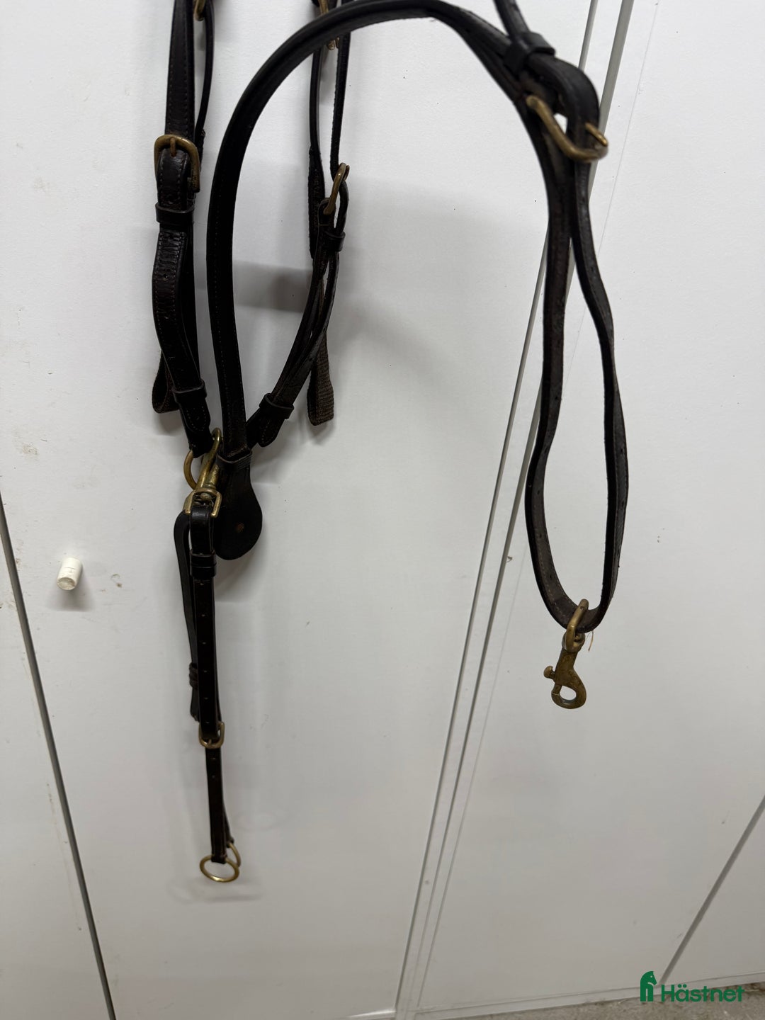 Övrig Hästutrustning hästutrustning till salu: Förbygel med avtagbar martingal i Edsbruk - Annons 5