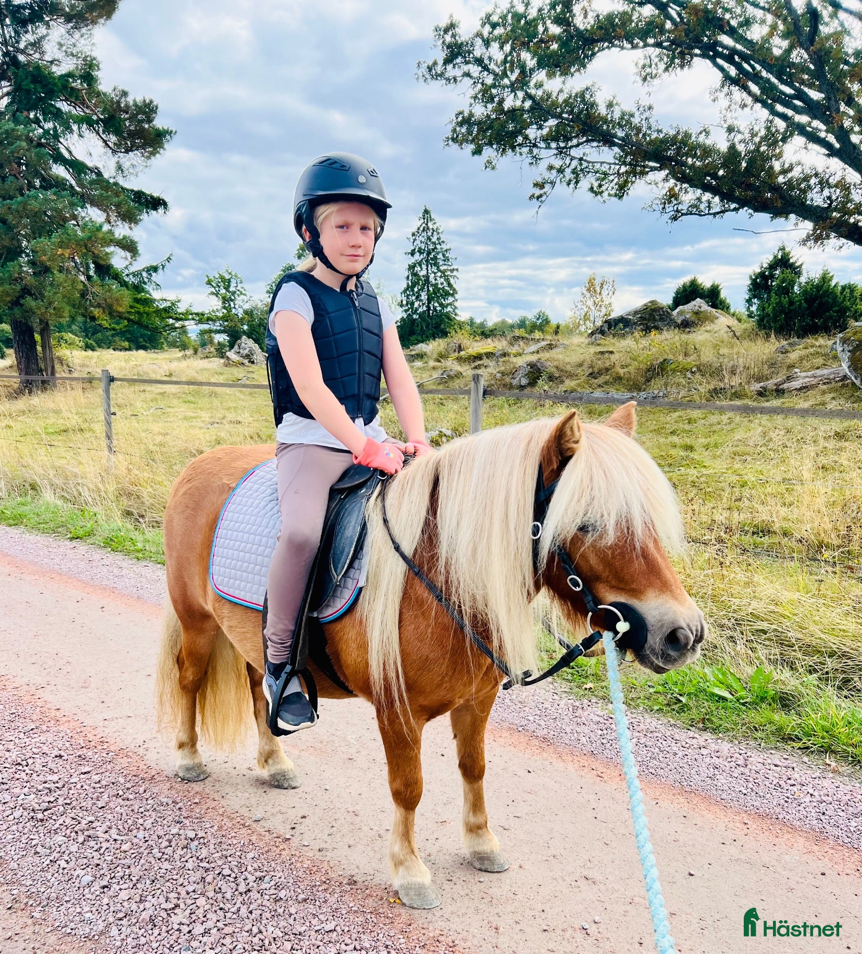  hästar 🌸 4-årigt ponnysto – full av potential 🌸 - Annons 1