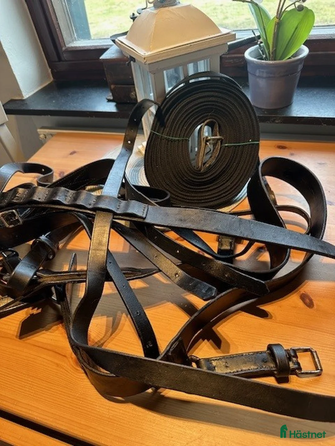 Körsulkys körning till salu: Loksele, Baksele, tömmar o Rockard, Sulky  - Annons 2