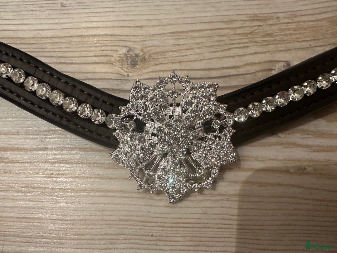 Övrig Hästutrustning hästutrustning till salu: Unika pannband till häst i Bro - Annons 3