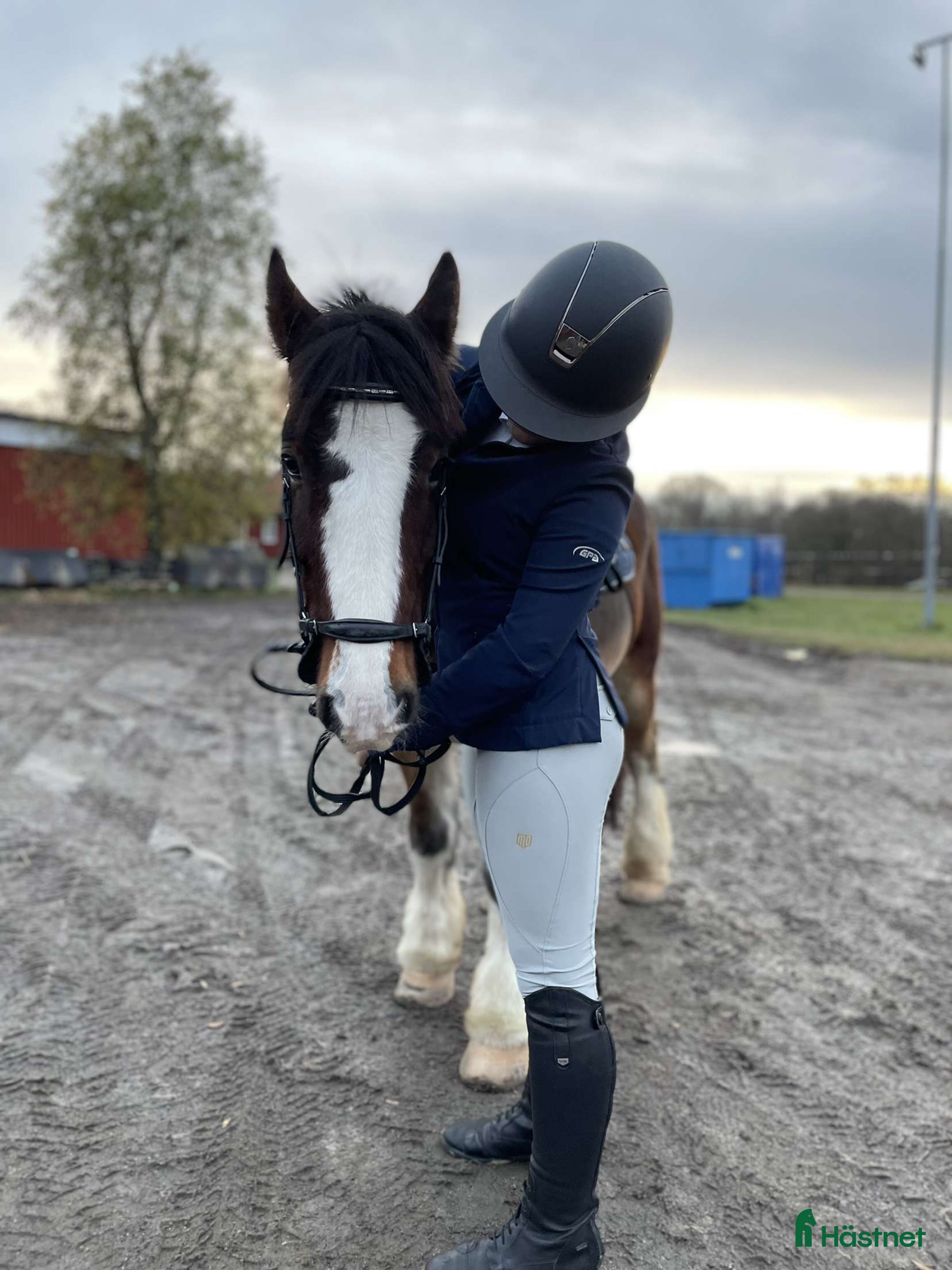 Jackor & Kavajer ryttarutrustning till salu: GPA kavaj i Ludvika - Annons 1