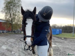 Jackor & Kavajer ryttarutrustning till salu: GPA kavaj i Ludvika - Annons 1