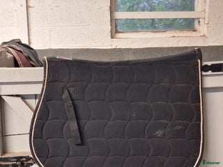 Schabrak & Vojlockar hästutrustning till salu: Fint schabrak stl ponny i Sturkö - Annons 4