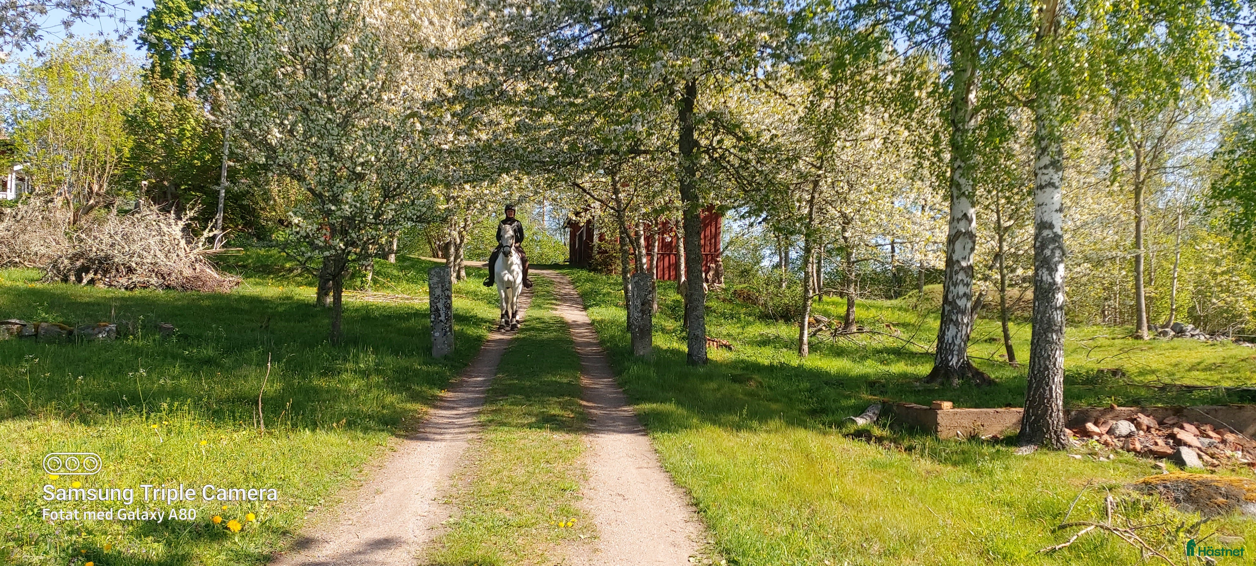  stallplats Boxar uthyres norr om Motala  i Motala - Annons 24