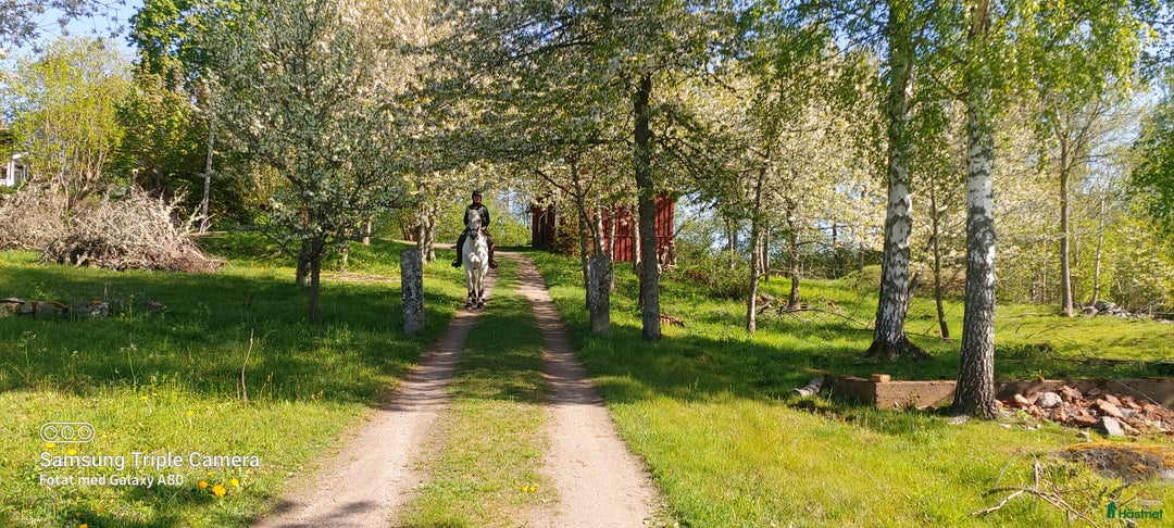  stallplats finnes: Boxar uthyres norr om Motala  i Motala - Annons 1