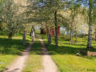 stallplats finnes: Boxar uthyres norr om Motala i Motala - Annons 1