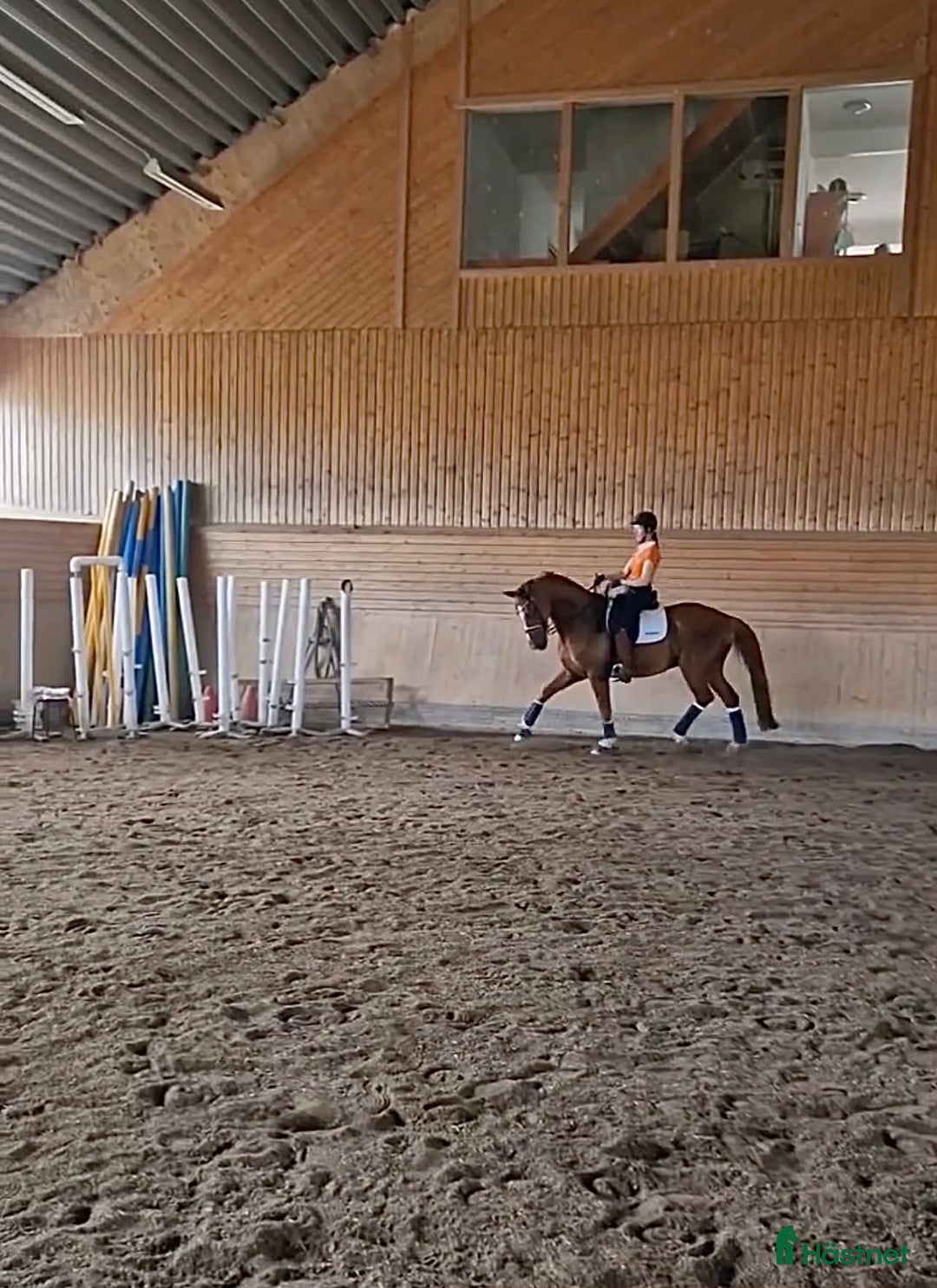 Dressyr hästar till salu: Bästa vän och tävlingskompis i Malmö - Annons 4