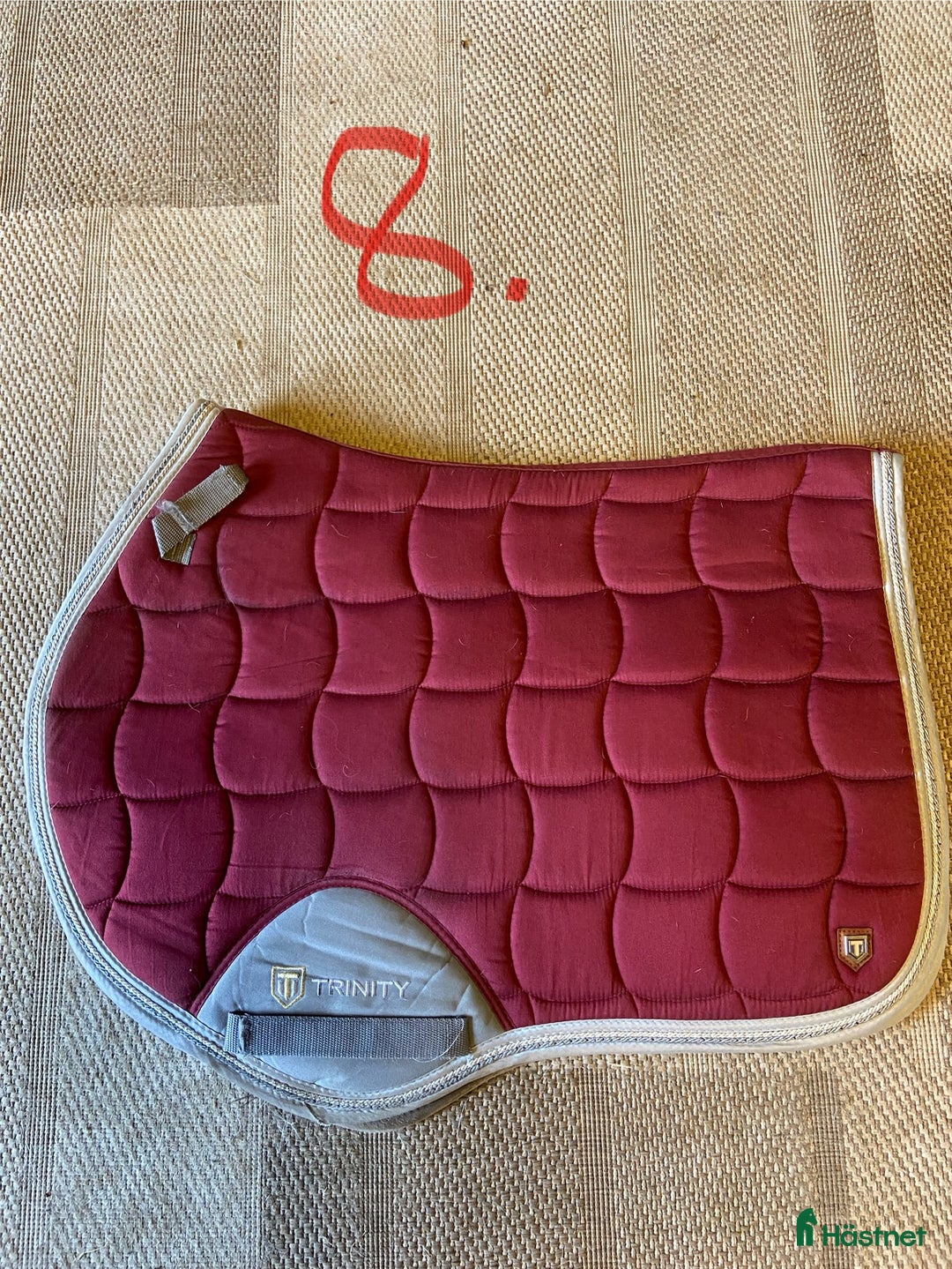 Schabrak & Vojlockar hästutrustning till salu: Schabrak  i Bollebygd - Annons 8