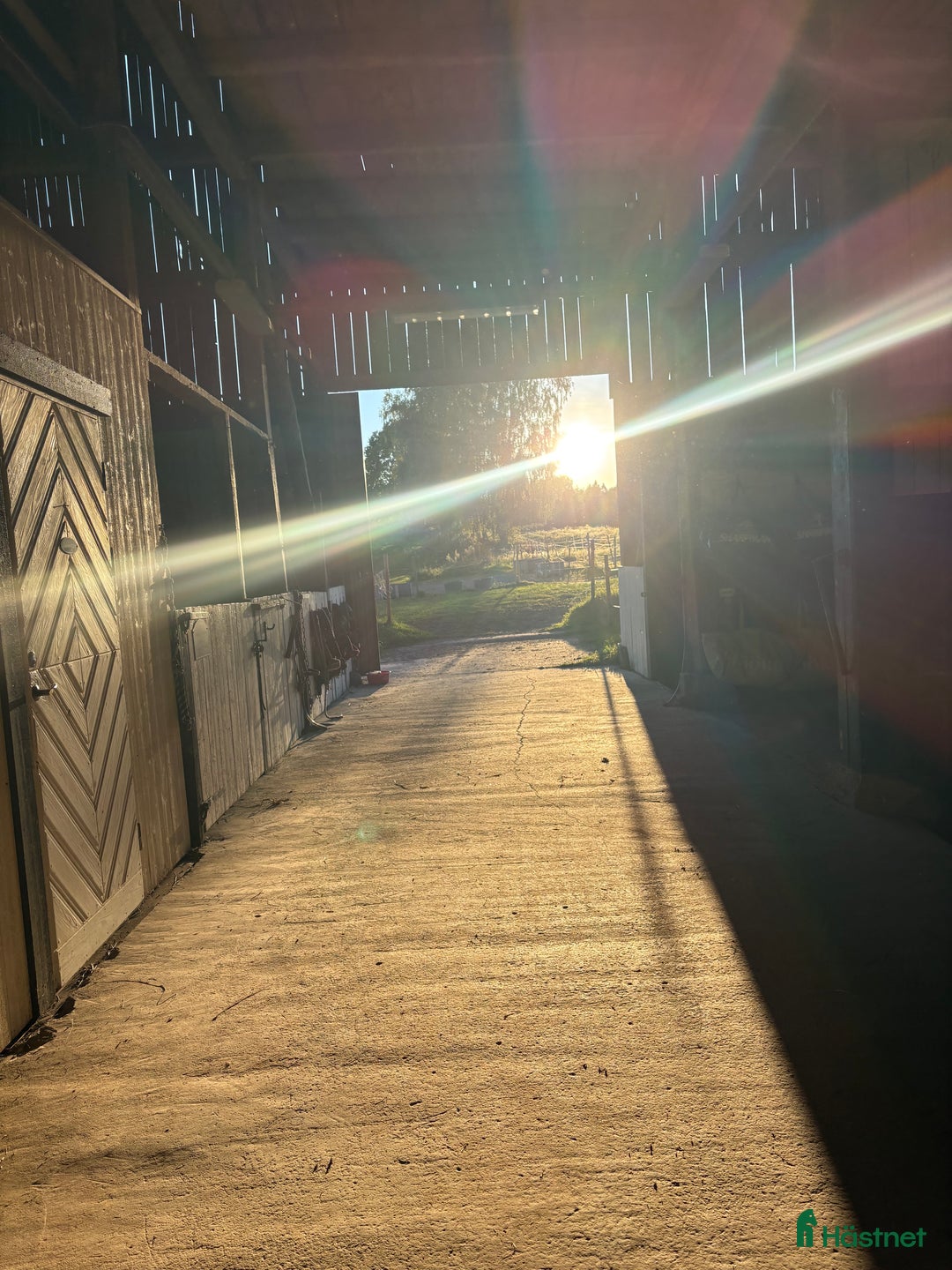  stallplats finnes: Stallplats finns för ett sto från 1 december  i Vikingstad - Annons 1