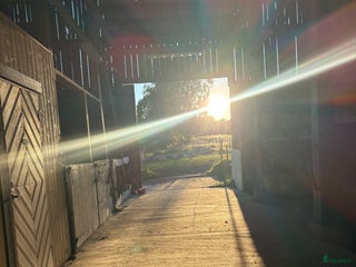 stallplats Stallplats finns för ett sto från 1 december i Vikingstad - Annons 11