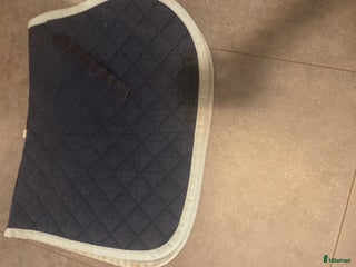 Schabrak & Vojlockar hästutrustning till salu: Schabrak i storlek full i Östersund - Annons 2