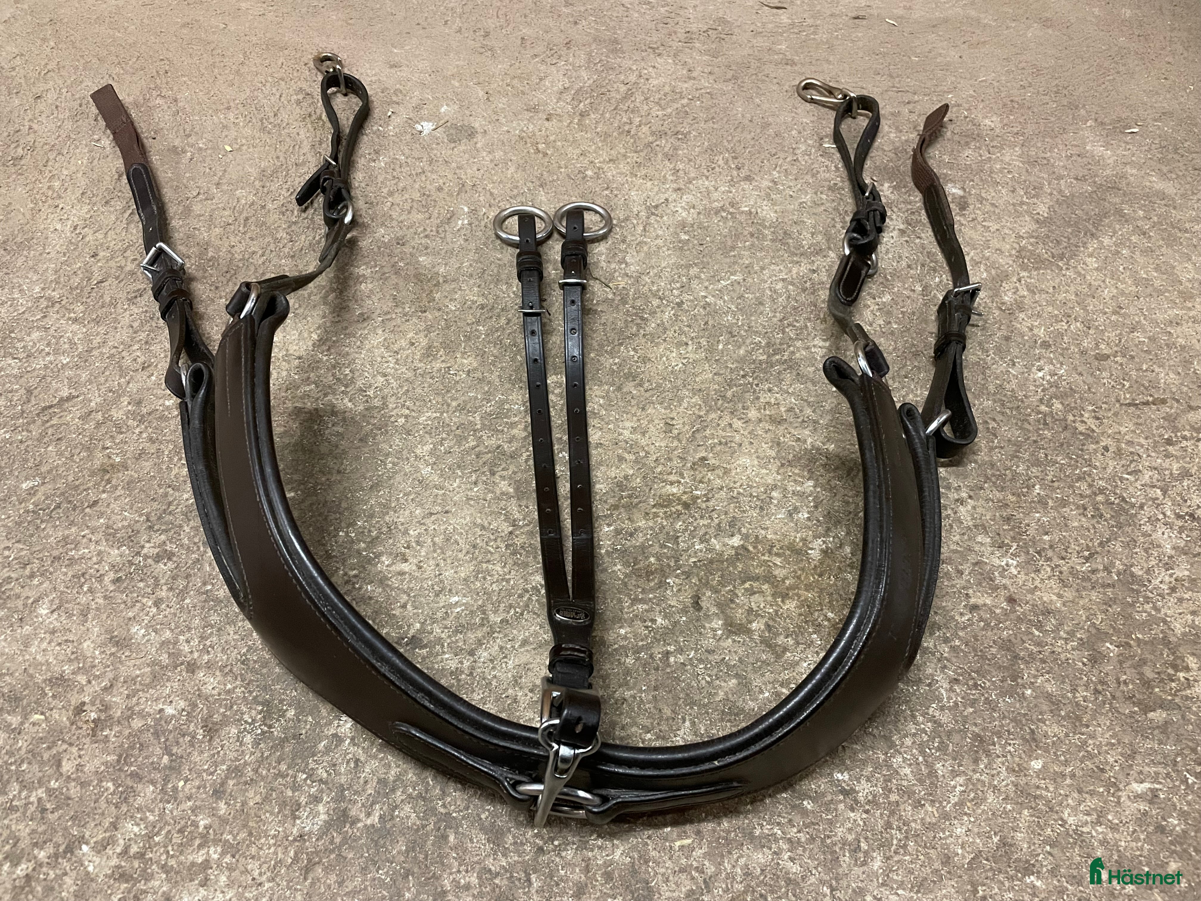 Sadeltillbehör hästutrustning till salu: Passier Förbygel Brösta i Linköping - Annons 21