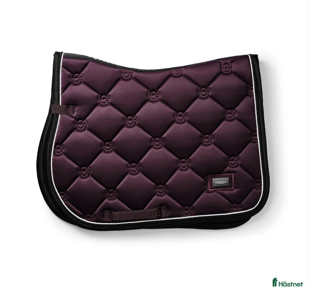 Schabrak & Vojlockar hästutrustning till salu: SÖKER‼️ - Annons 1