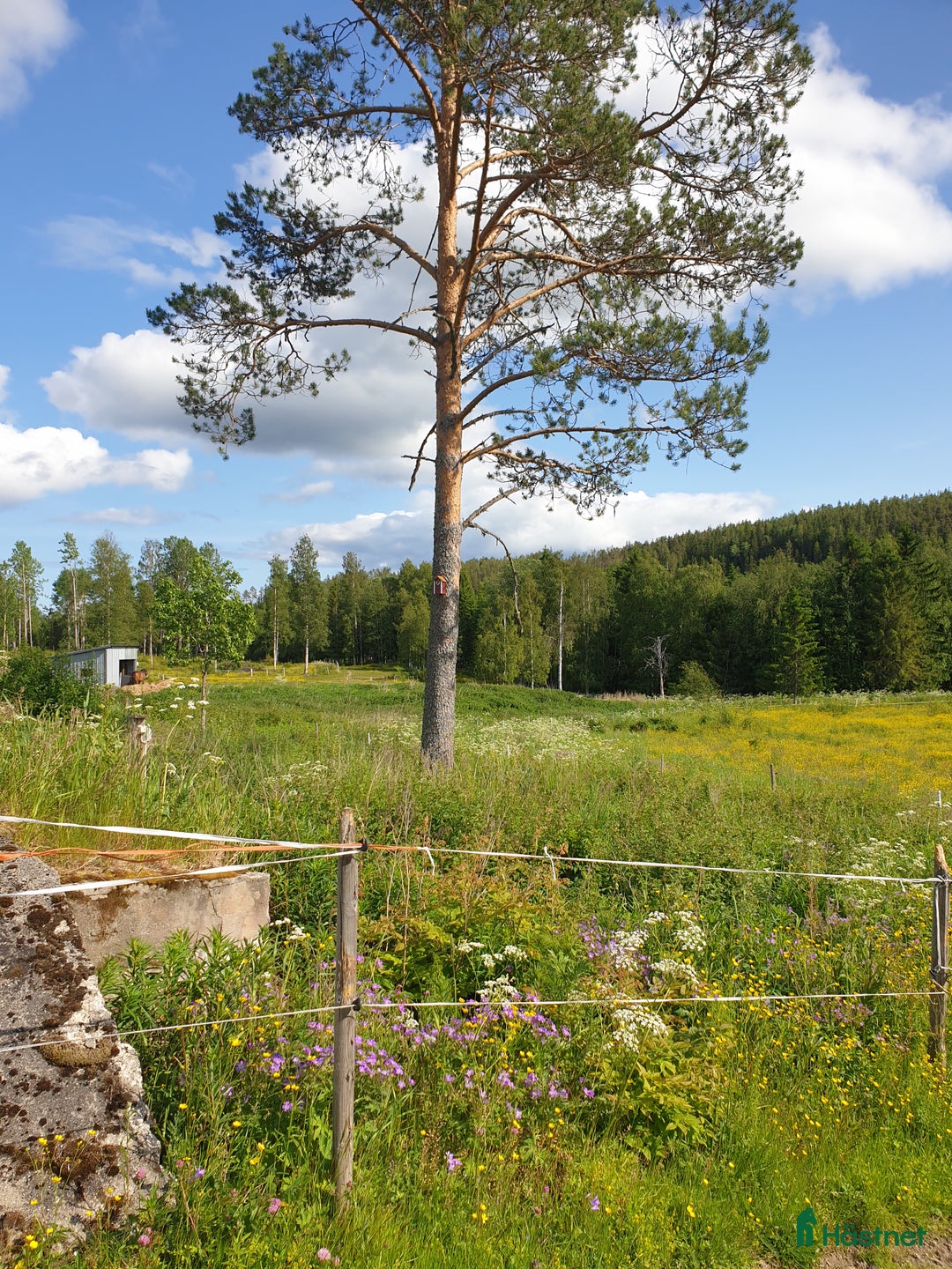  stallplats finnes: Lösdrift  Sundsvall  Oxsta  i Sundsvall - Annons 1
