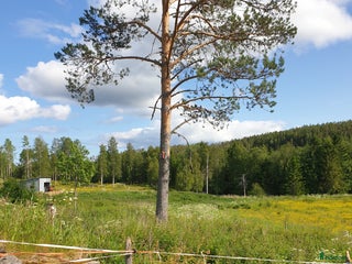 stallplats Lösdrift Sundsvall Oxsta i Sundsvall - Annons 7
