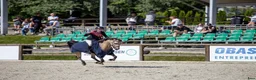 Hoppning hästar till salu: Tävlingsponny i Kungsbacka - Annons 6