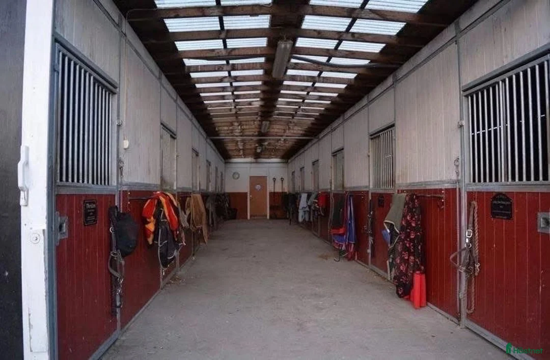  hästservice finnes: Stallplats i islandshäststall söder om Stockholm  - Annons 2