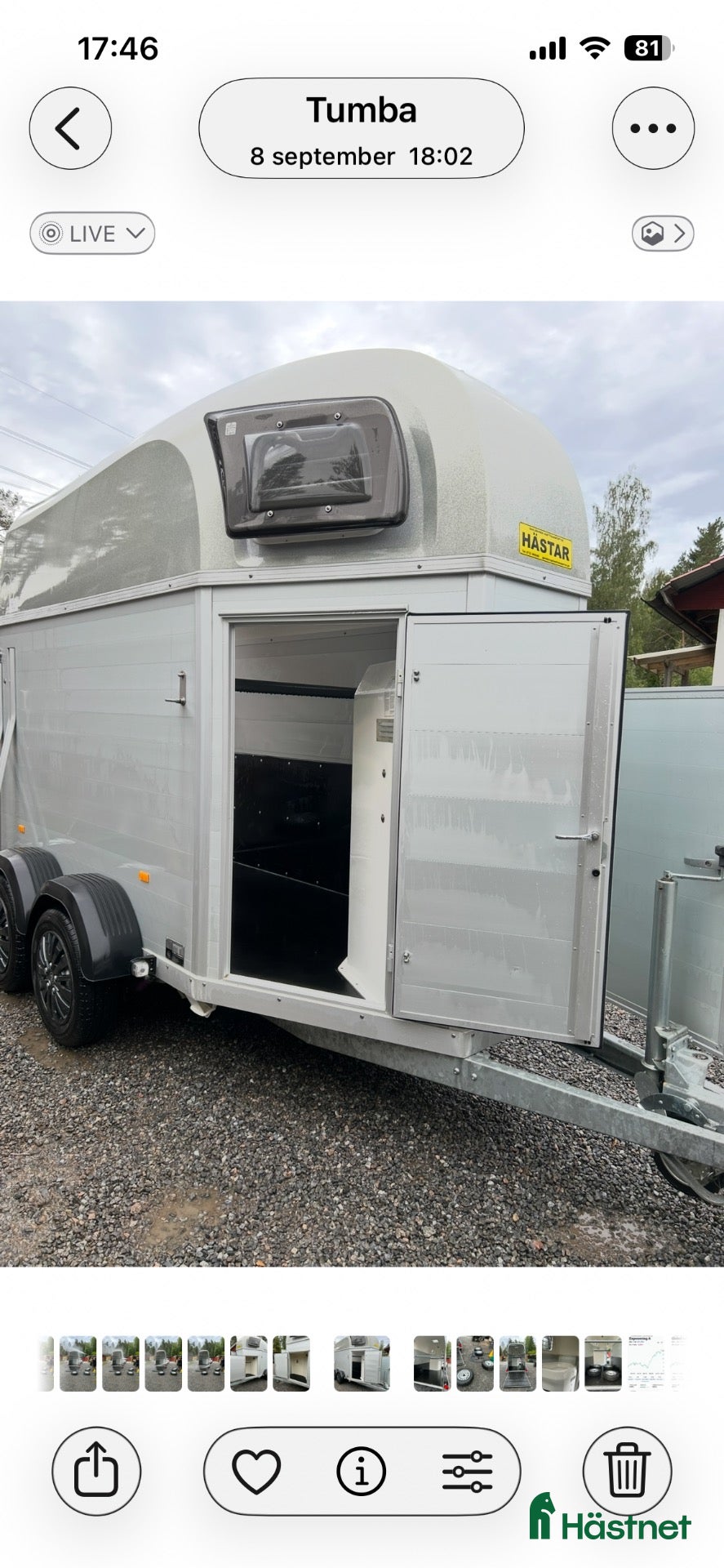 Hästtransporter  fordon & transport till salu: Blomert Singapore 1,5 hästars släp-2020-nyskick - Annons 2