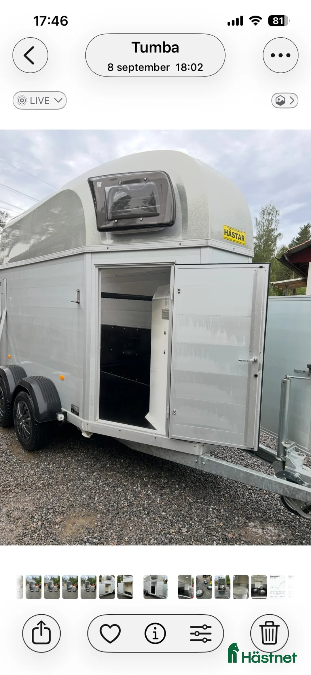 Hästtransporter  fordon & transport till salu: Blomert Singapore 1,5 hästars släp-2020-nyskick - Annons 1