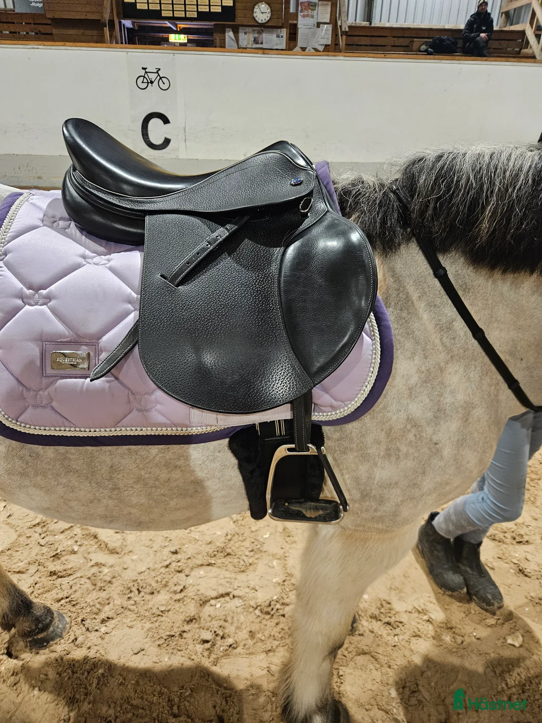 Sadlar hästutrustning till salu: Hoppsadel Lippo rivello espanza 15,5tum - Annons 1