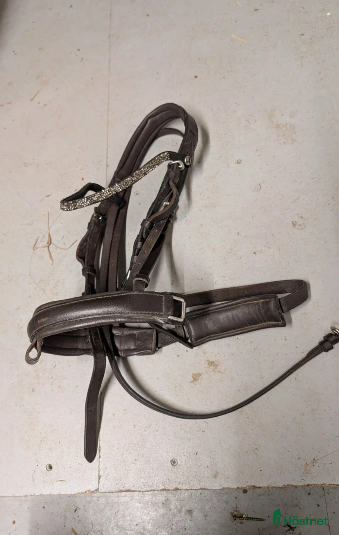 Träns hästutrustning till salu: Globusträns ponny i Skepplanda - Annons 1