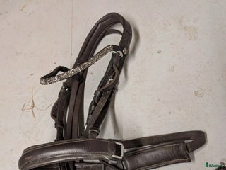 Träns hästutrustning till salu: Globusträns ponny i Skepplanda - Annons 12