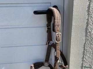 Övrig Hästutrustning hästutrustning till salu: Brun Fairfield fluff grimma 💗 i Hammarö - Annons 23