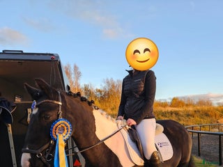 hästar Fantastisk c-ponny i Ljungskile - Annons 13