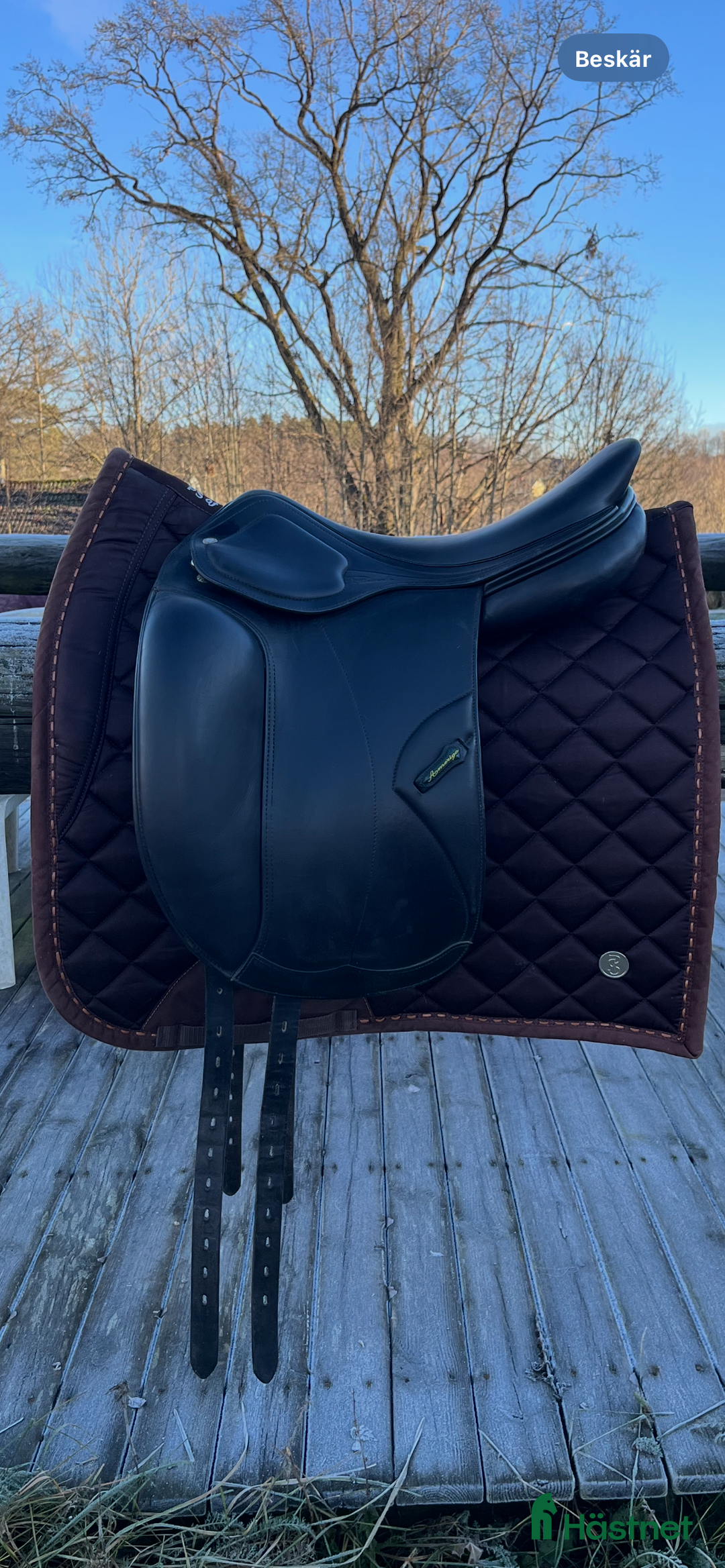 Sadlar hästutrustning till salu: Amerigo DJ pinerolo tillverkad 2017 i Jönköping - Annons 1