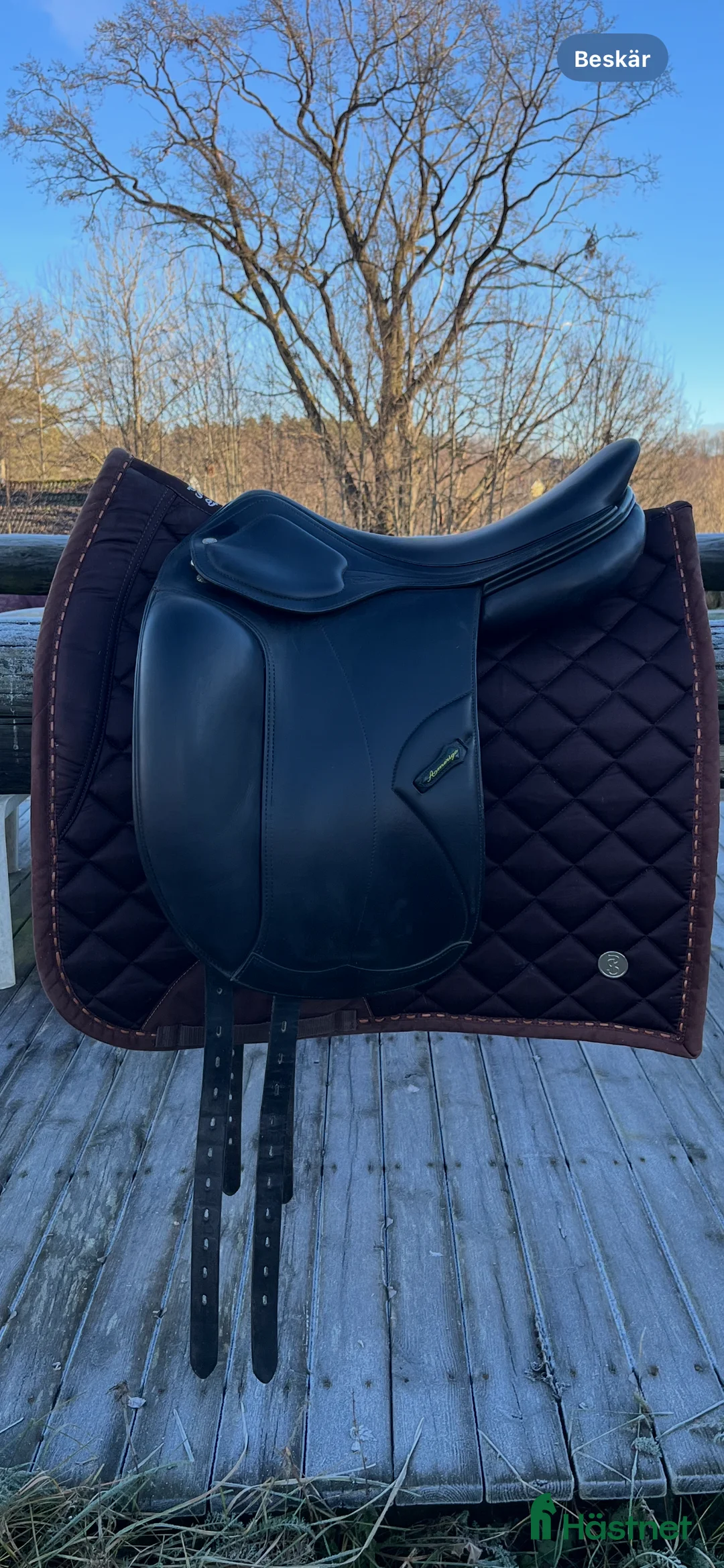 Sadlar hästutrustning till salu: Amerigo DJ pinerolo tillverkad 2017 i Jönköping - Annons 1