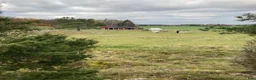  stallplats finnes: Plats i lösdriftsstall med stora hagar - Annons 2