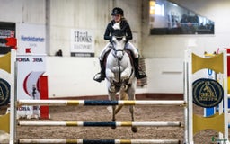 Fälttävlan hästar till salu: Erfaren Fälttävlans- & hopp ponny  i Vallentuna - Annons 4